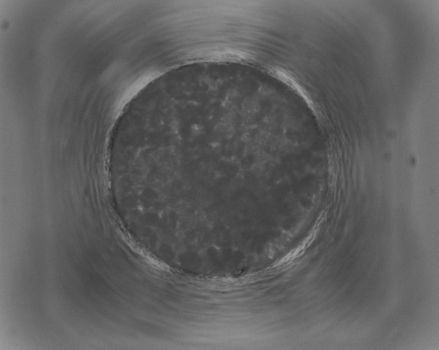 X0000071901071200607281757