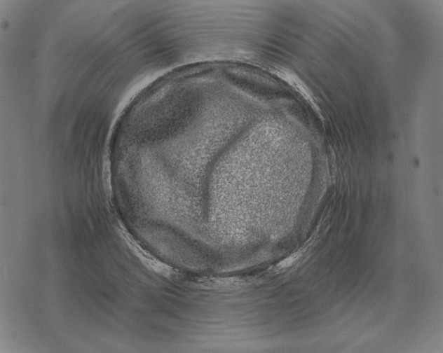 X0000071901072200607281757