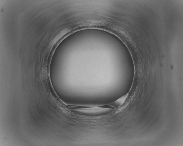 X0000071901073200607281757