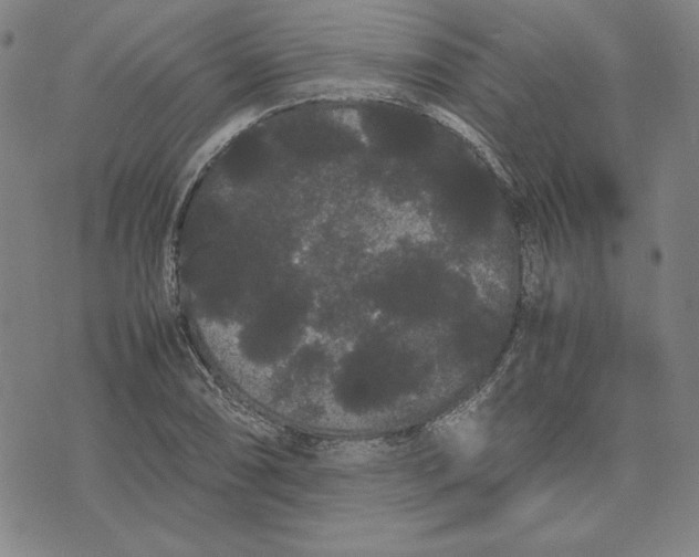 X0000071901074200607281757