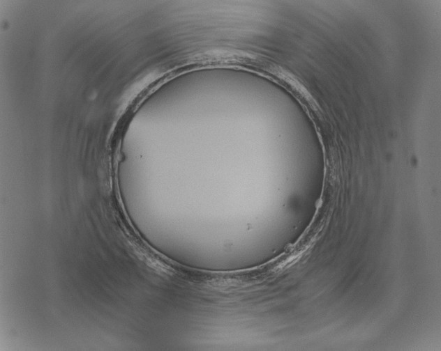 X0000071901075200607281757