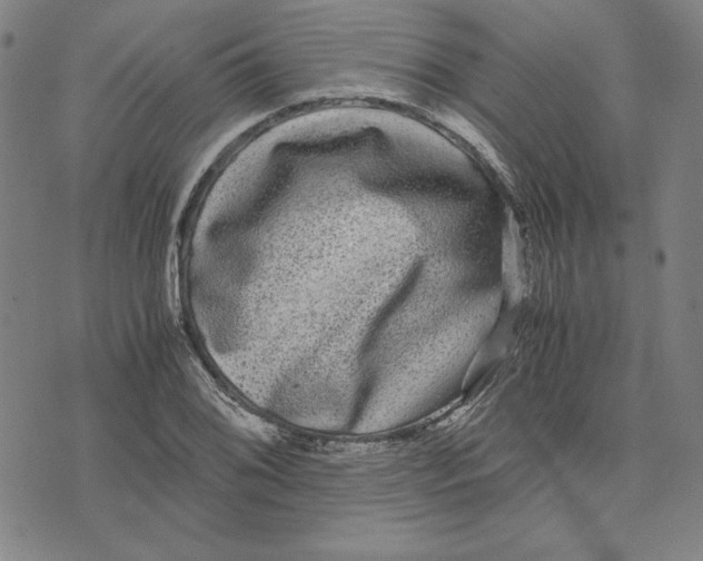 X0000071901076200607281757