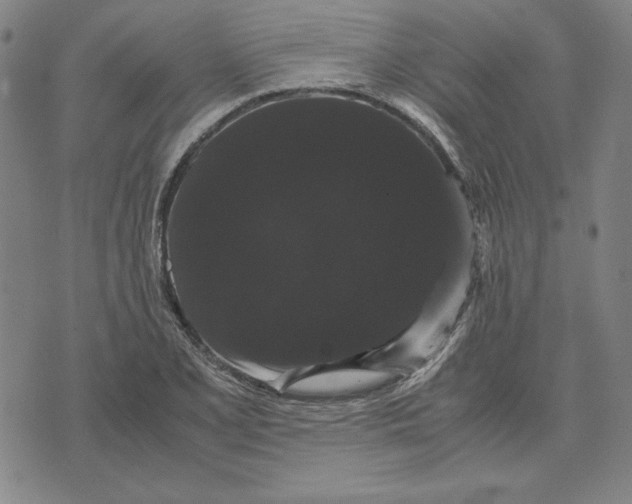 X0000071901077200607281757