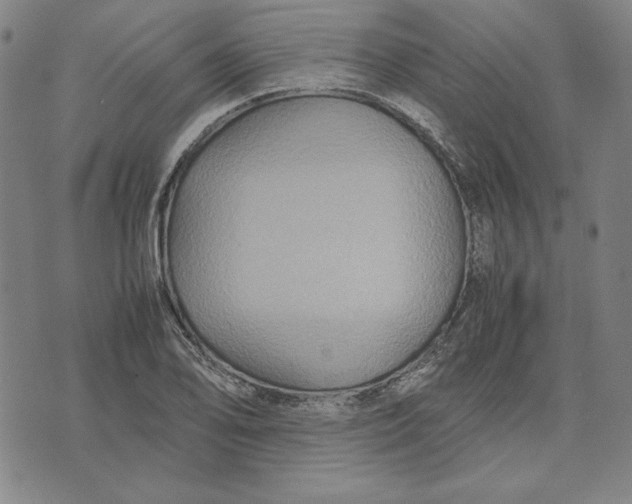 X0000071901078200607281757