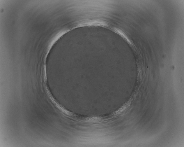 X0000071901079200607281757