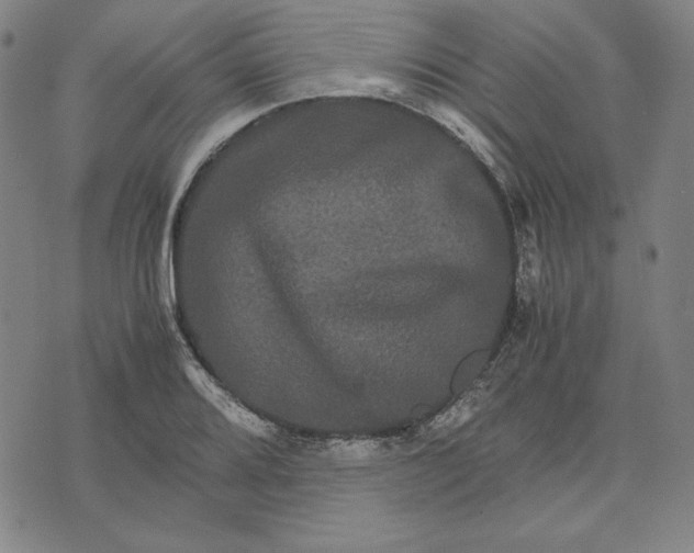 X0000071901080200607281757