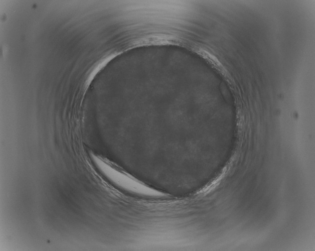 X0000071901081200607281757