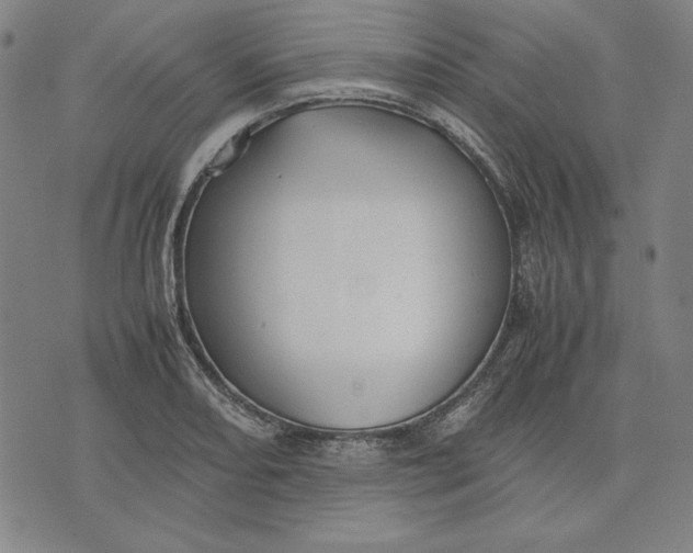 X0000071901082200607281757