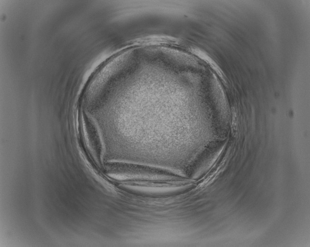 X0000071901083200607281757