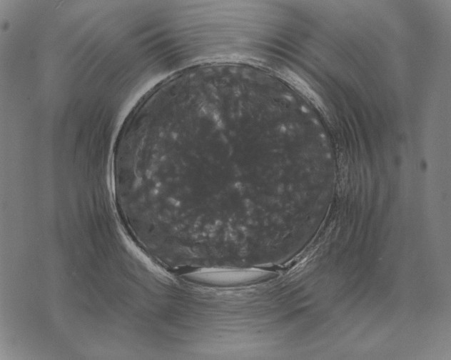 X0000071901084200607281757