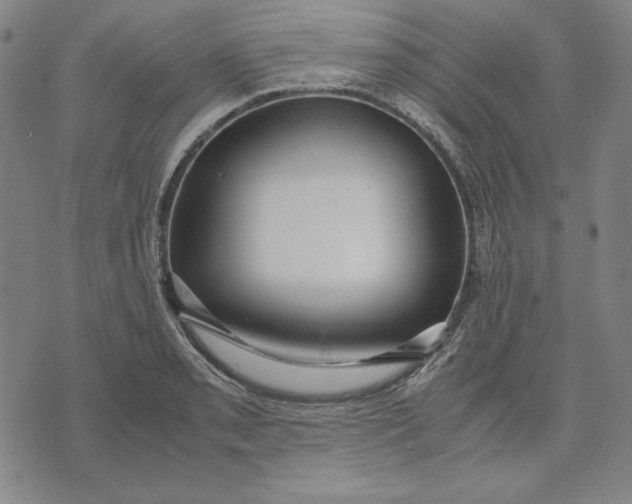 X0000071901085200607281757