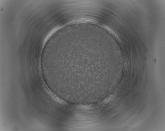 X0000071901086200607281757