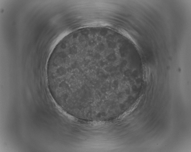 X0000071901087200607281757