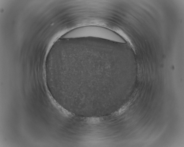 X0000071901088200607281757