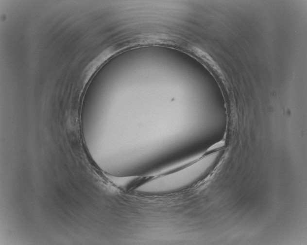 X0000071901089200607281757