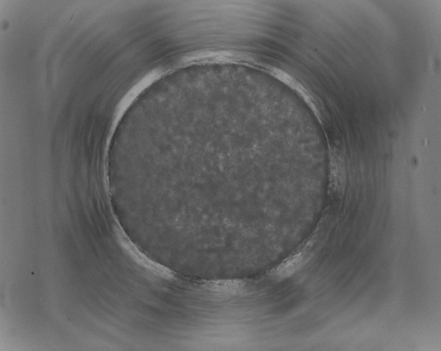 X0000071901090200607281757