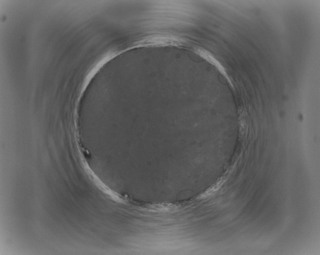 X0000071901091200607281757