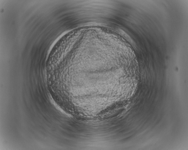 X0000071901092200607281757