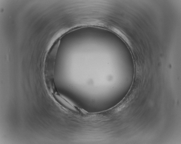 X0000071901093200607281757