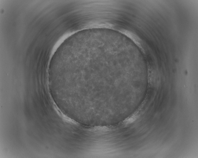 X0000071901094200607281757