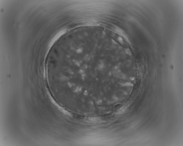 X0000071901095200607281757