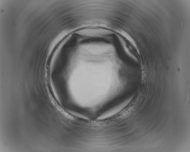 X0000071901096200607281757