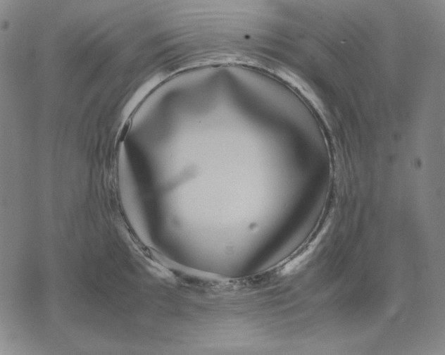 X0000071901097200607281757