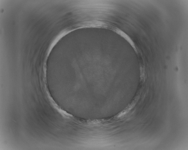 X0000071901099200607281757