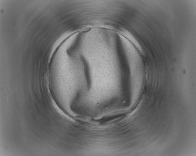 X0000071901100200607281757