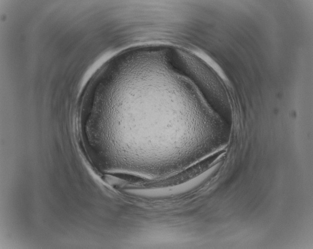 X0000071901101200607281757