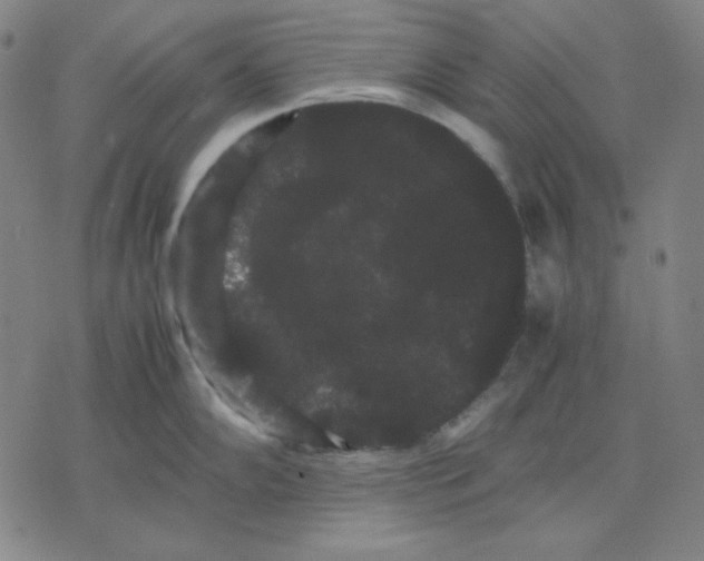 X0000071901102200607281757