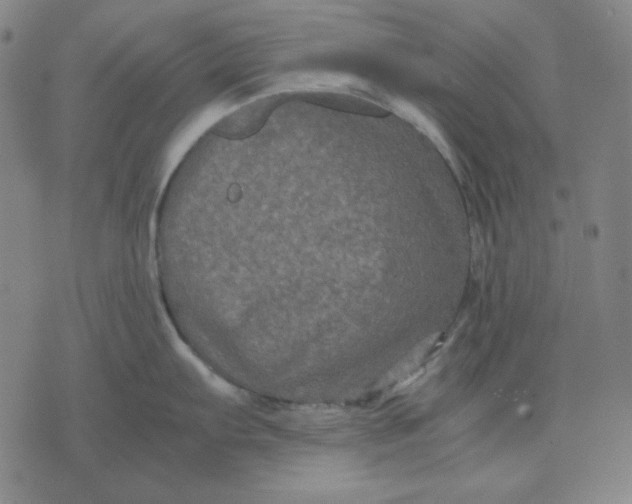 X0000071901103200607281757