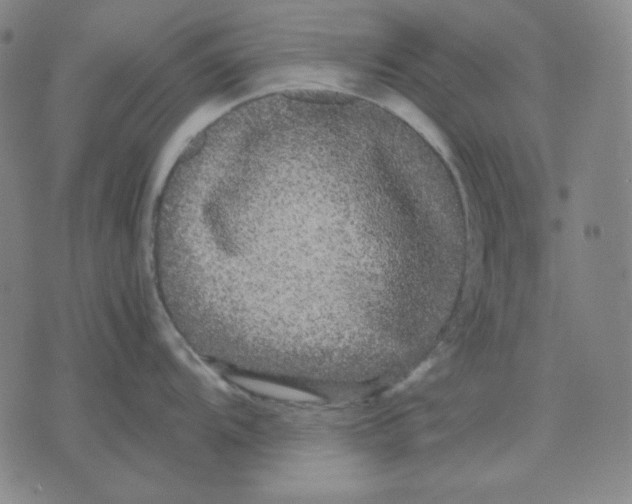 X0000071901104200607281757