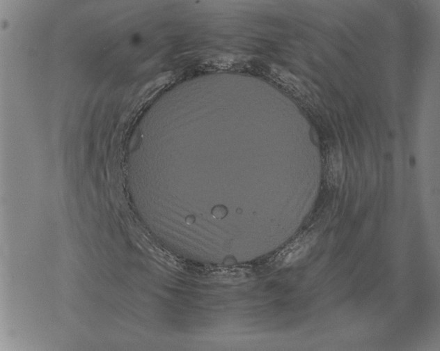 X0000071901105200607281756