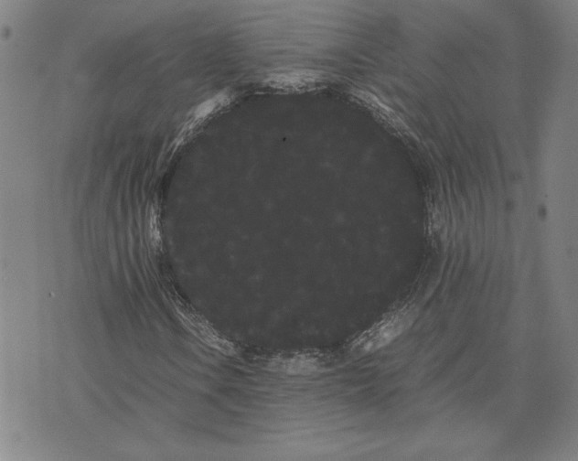 X0000071901106200607281756