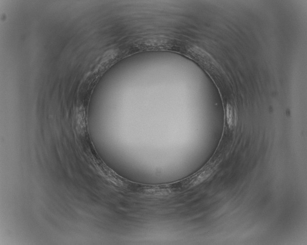 X0000071901107200607281756