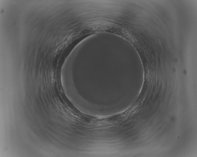 X0000071901108200607281756