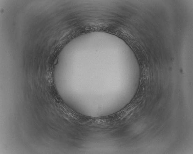 X0000071901109200607281756