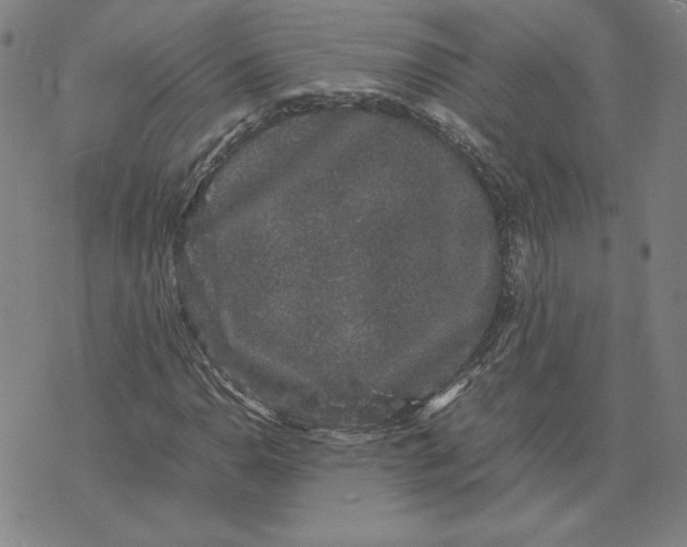 X0000071901110200607281756