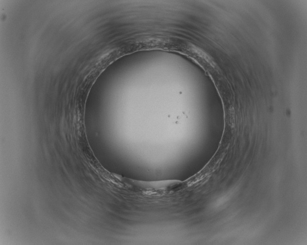 X0000071901111200607281756