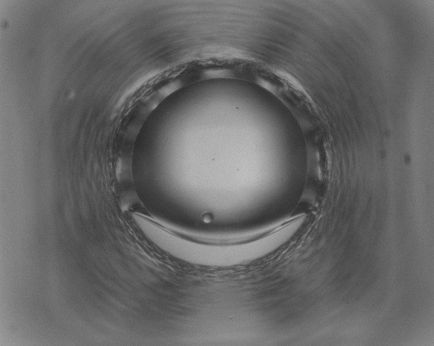 X0000071901112200607281756