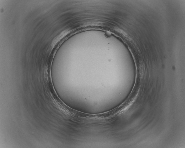 X0000071901113200607281756