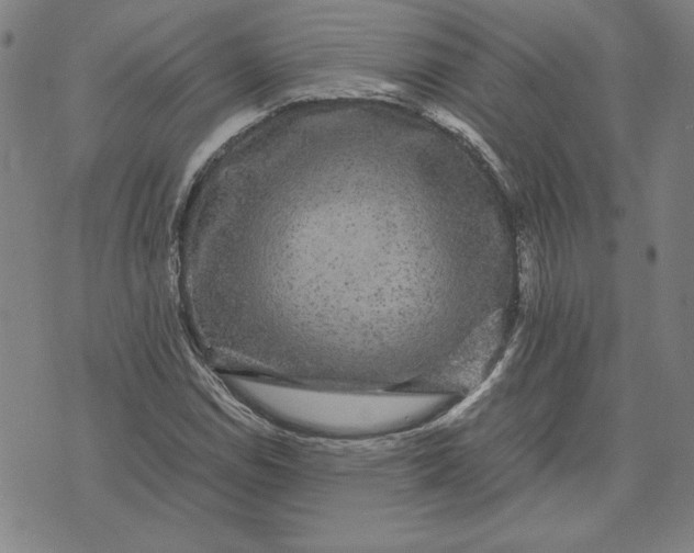 X0000071901114200607281756