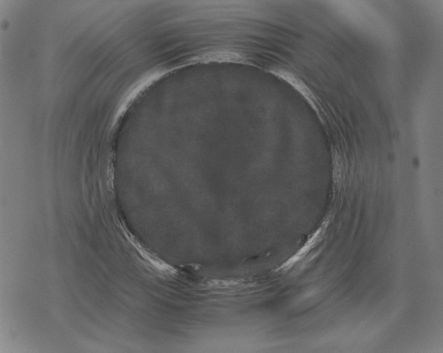 X0000071901115200607281756