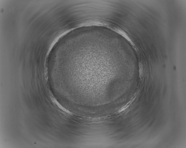 X0000071901116200607281756