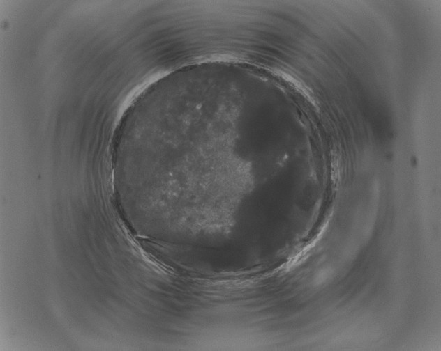 X0000071901117200607281756