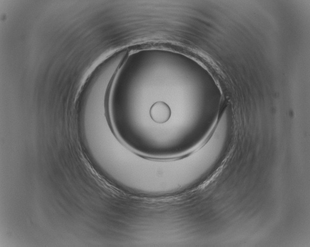 X0000071901118200607281756