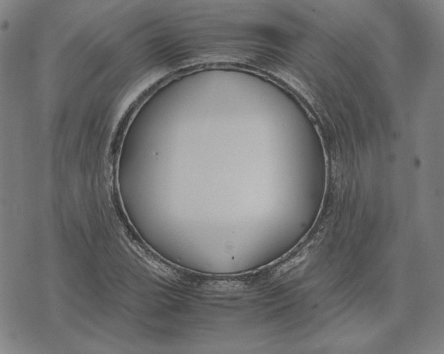 X0000071901119200607281756