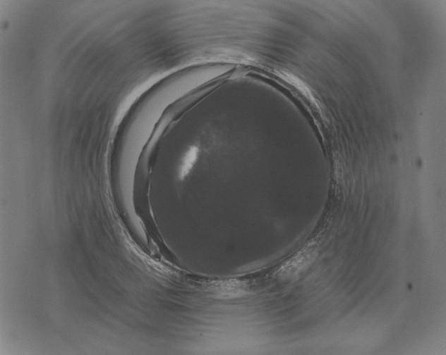 X0000071901120200607281756