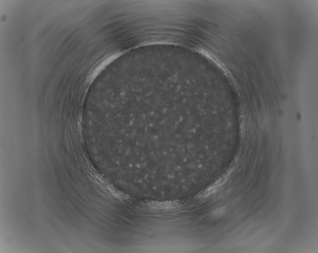 X0000071901121200607281756